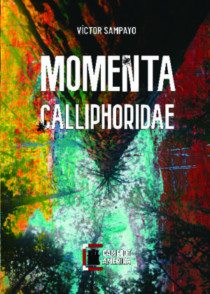 Momenta Calliphoridae