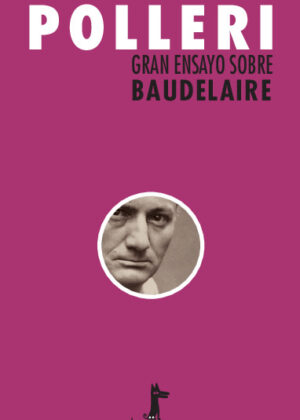 Gran ensayo sobre Baudelaire