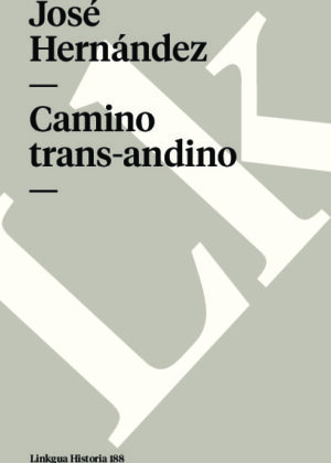Camino trans-andino