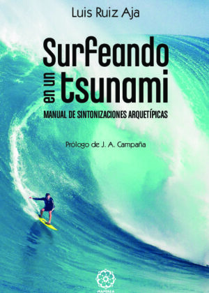 Surfeando en un tsunami. Manual de sintonización arquetípicas