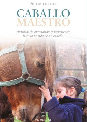 Caballo maestro: historias de aprendizaje y reencuentro bajo la mirada de un caballo