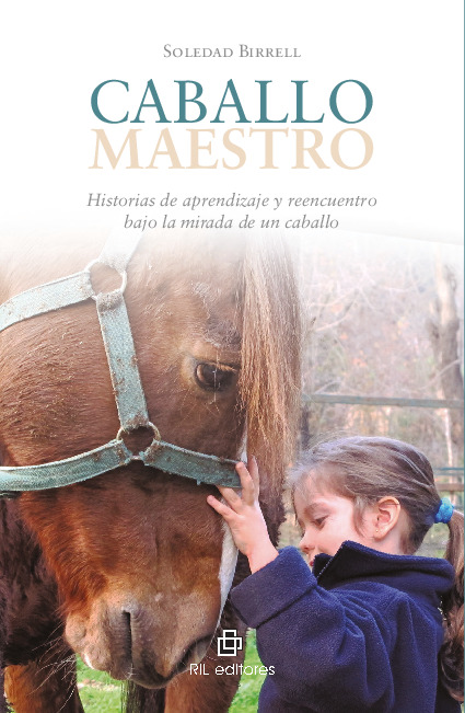 Caballo maestro: historias de aprendizaje y reencuentro bajo la mirada de un caballo