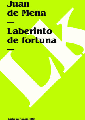 Laberinto de fortuna