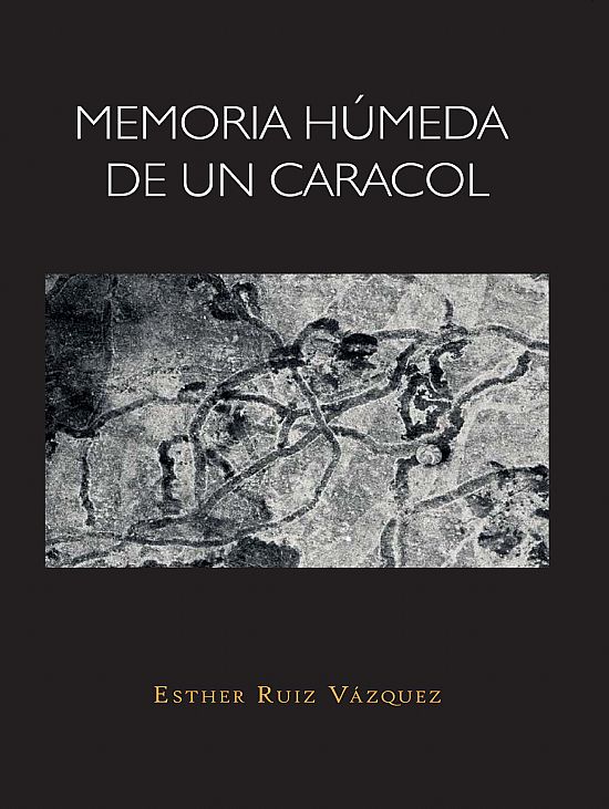 Memoria húmeda de un caracol