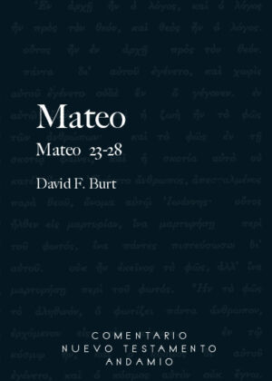 Mateo V 23-28