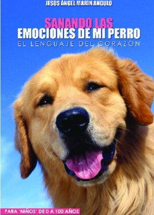 Sanando las emociones de mi perro