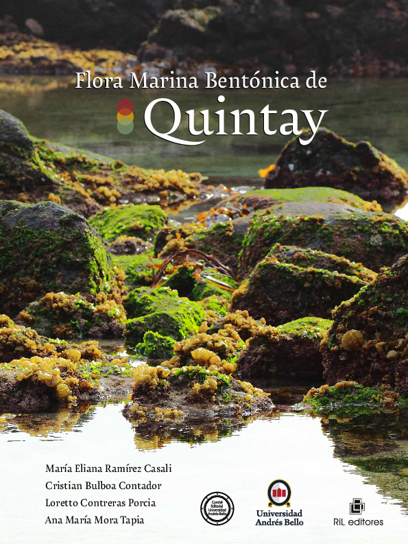 Flora marina bentónica de Quintay