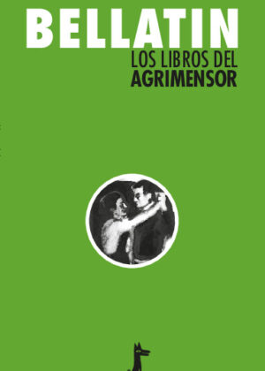 Los libros del agrimensor