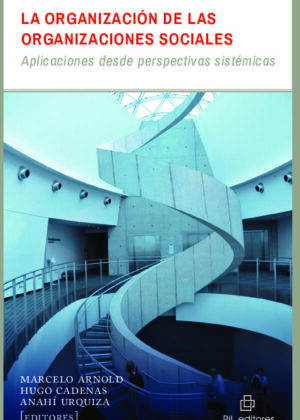 La organización de las organizaciones sociales: aplicaciones desde perspectivas sistémicas