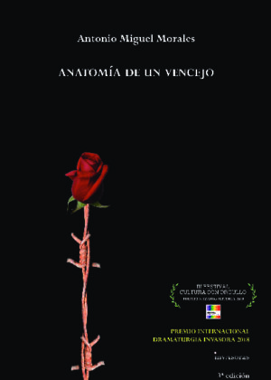 ANATOMÍA DE UN VENCEJO