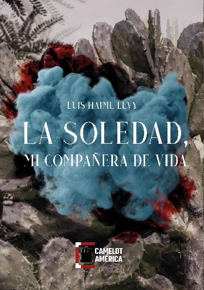 La soledad, mi compañera de vida