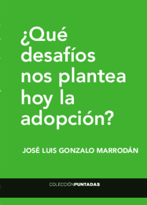 ¿Qué desafíos nos plantea hoy la adopción?