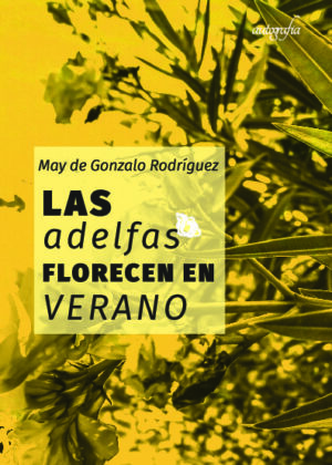 Las adelfas florecen en verano