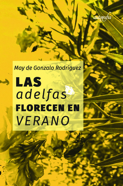 Las adelfas florecen en verano