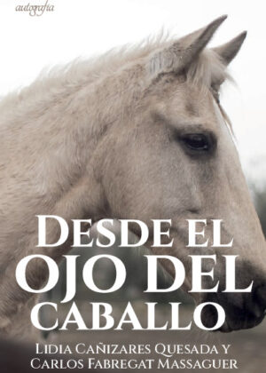 Desde el ojo del caballo