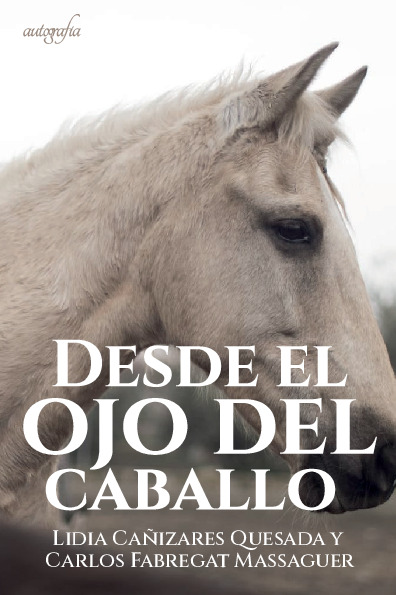 Desde el ojo del caballo