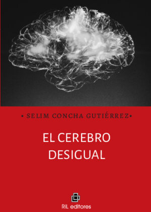 El cerebro desigual