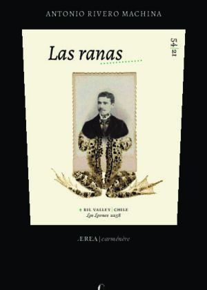 Las ranas