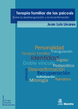 Terapia familiar de la psicosis. Entre la destriangulación y la reconfirmación