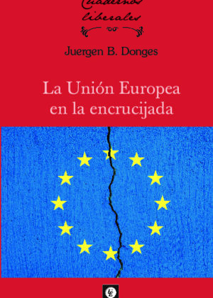 6. LA UNIÓN EUROPEA EN LA ENCRUCIJADA