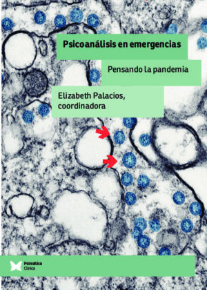 Psicoanálisis en emergencias. Pensando la pandemia