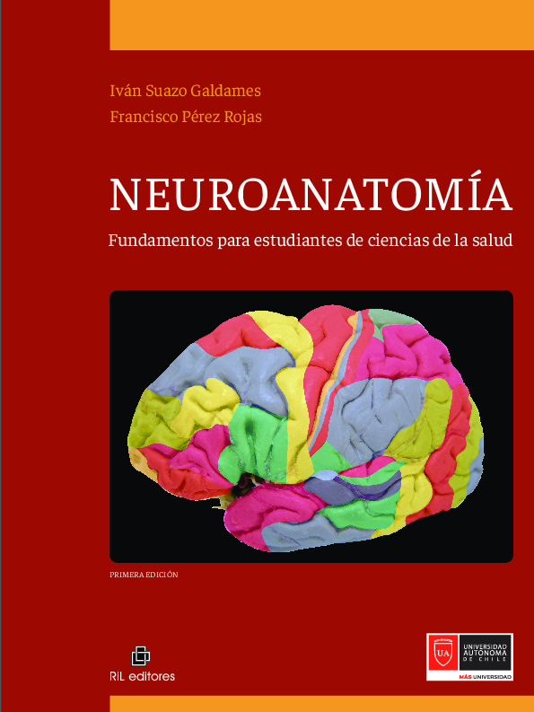 Neuroanatomía: fundamentos para estudiantes de ciencias de la salud