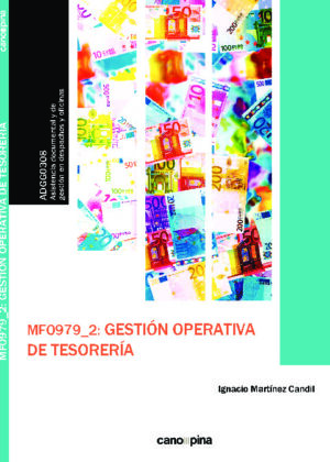 MF0979 Gestión operativa de tesorería