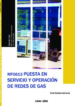 MF0613 Puesta en servicio y operación de redes de gas