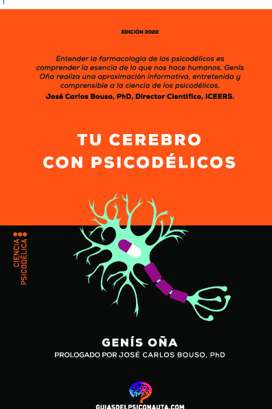 Tu cerebro con psicodélicos