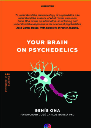 Your brain on psychedelics