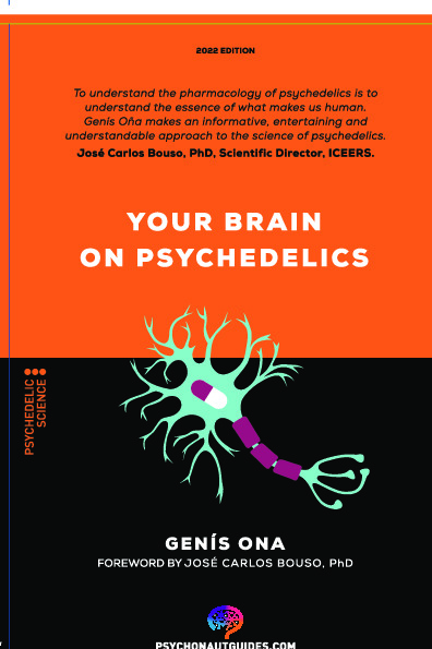 Your brain on psychedelics