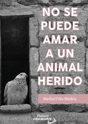 NO SE PUEDE AMAR A UN ANIMAL HERIDO