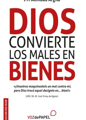 Dios convierte los males en bienes