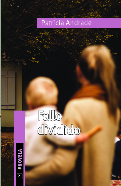 Fallo dividido (Novela inspirada en un caso real)