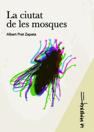 La ciutat de les mosques