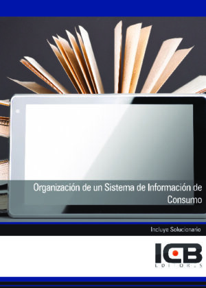 Organización de un Sistema de Información de Consumo