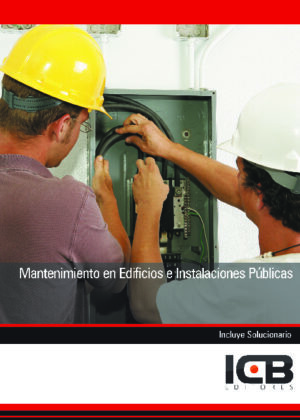 Mantenimiento en Edificios e Instalaciones Públicas