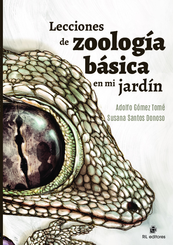 Lecciones de zoología básica en mi jardín (tapa blanda)