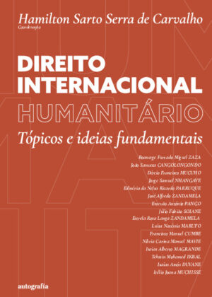 Direito Internacional Humanitário: Tópicos e ideias fundamentais