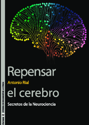 Repensar el cerebro