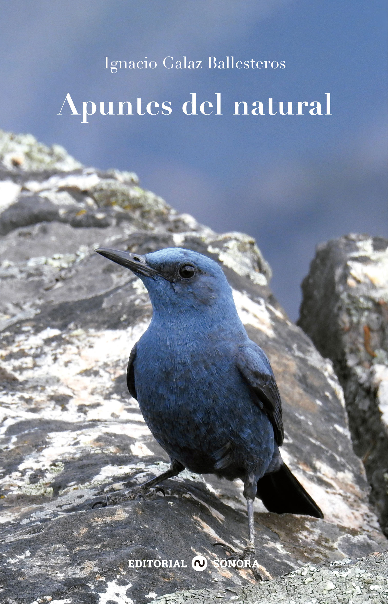 Apuntes del natural Apuntes del natural