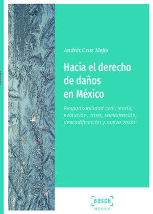 Hacía el derecho de daños en México