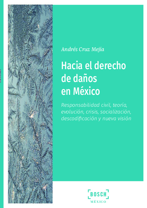 Hacía el derecho de daños en México