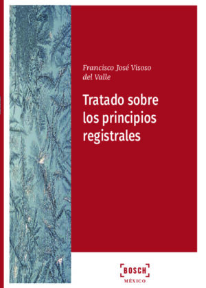 Tratado sobre los principios registrales