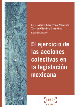 El ejercicio de las acciones colectivas en la legislación mexicana