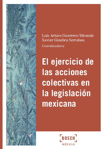 El ejercicio de las acciones colectivas en la legislación mexicana