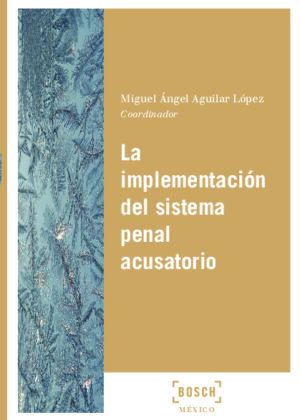 La implementación del sistema penal acusatorio