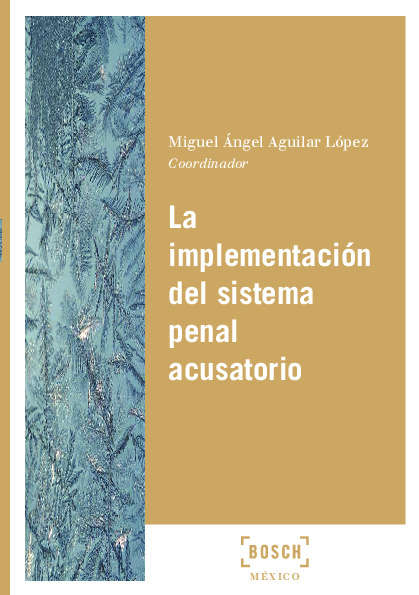 La implementación del sistema penal acusatorio