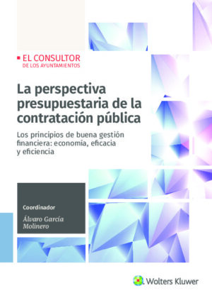 La perspectiva presupuestaria de la contratación pública