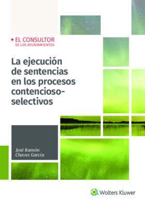 La ejecución de sentencias en los procesos contencioso-selectivos